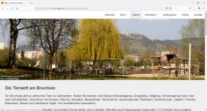 Website vom Bruchsee